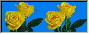 yellow roses in stereo